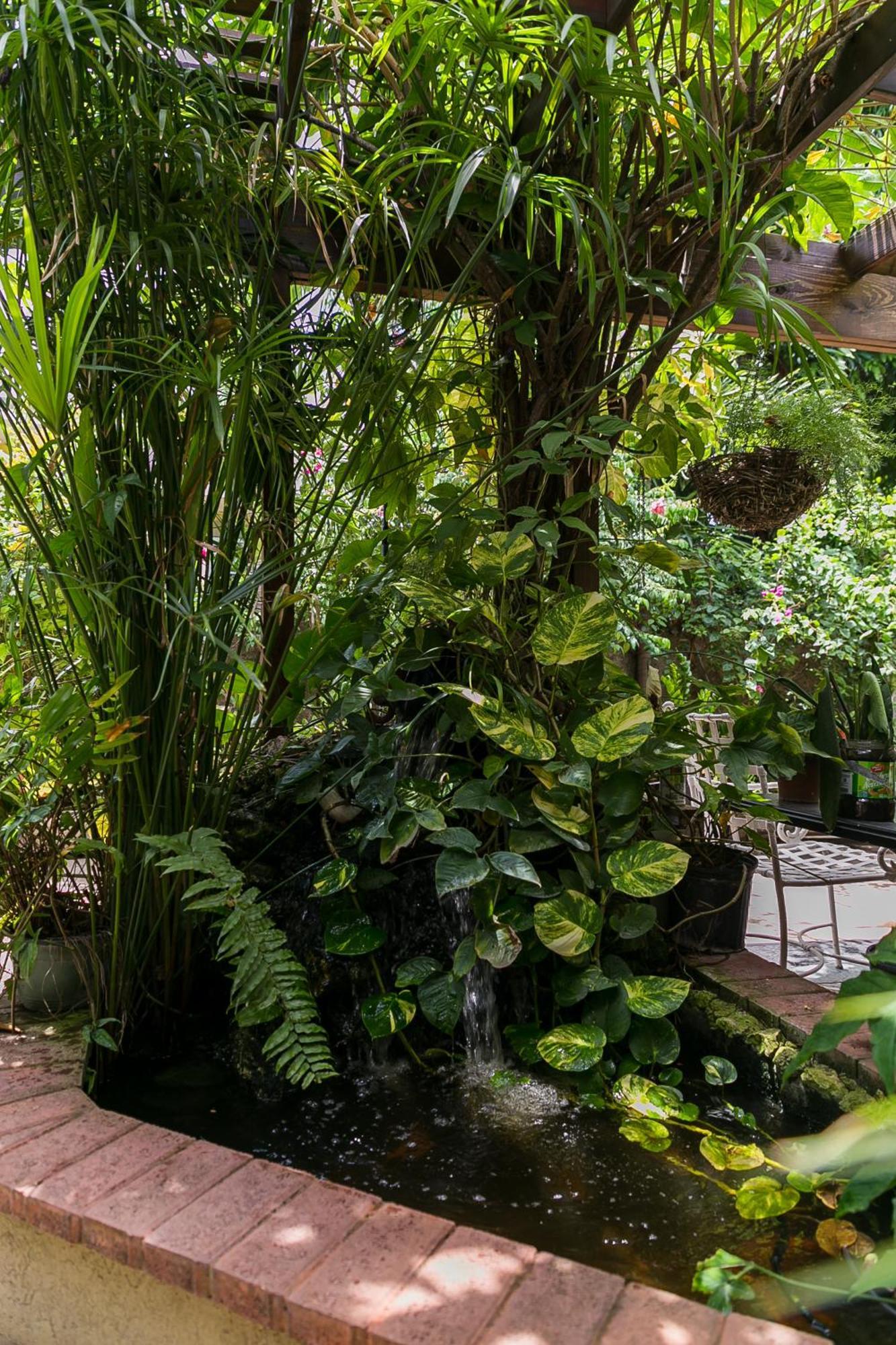 Botanic Bliss Living In Kingston Apartamento Exterior foto